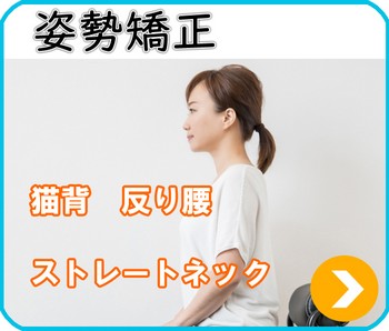 姿勢矯正　猫背　反り腰　ストレートネック